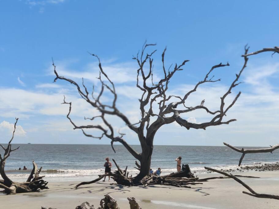 Jekyll Island House/ Kellys On The Coast /King Bed Villa Exterior photo